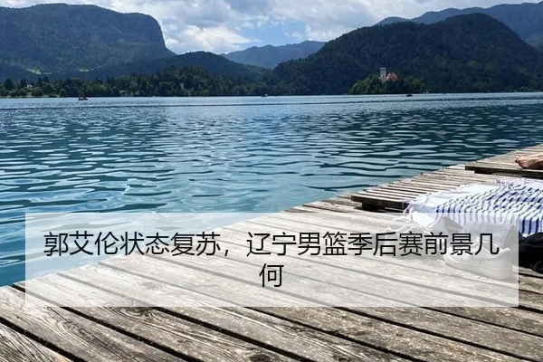 郭艾伦状态复苏，辽宁男篮季后赛前景几何