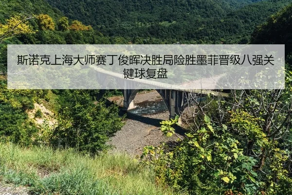 si-nuo-ke-shang-hai-da-shi-sai-ding-jun-hui-jue-sheng-ju-xian-sheng-mo-fei-jin-ji-ba-qiang-guan-jian-qiu-fu-pan-2-992.jpg