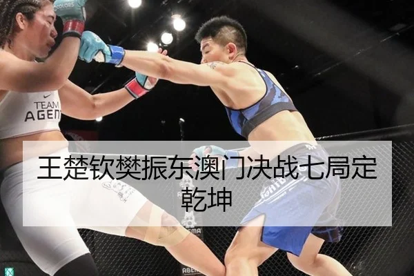 王楚钦樊振东澳门决战七局定乾坤