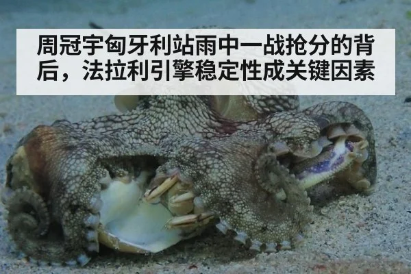 周冠宇匈牙利站雨中一战抢分的背后，法拉利引擎稳定性成关键因素